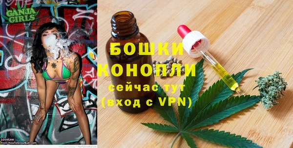 spice Арсеньев