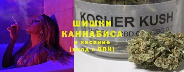 spice Арсеньев