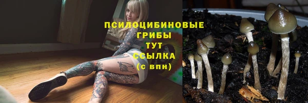 2c-b Армянск
