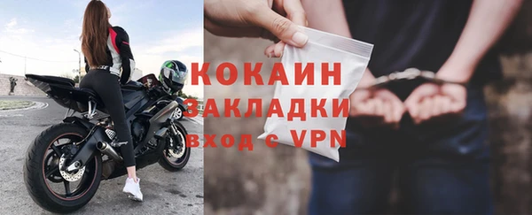 твердый Аркадак