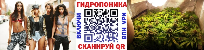 МАРИХУАНА конопля  Заинск 
